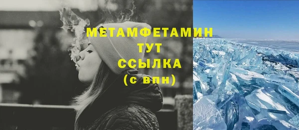 прущие грибы Няндома