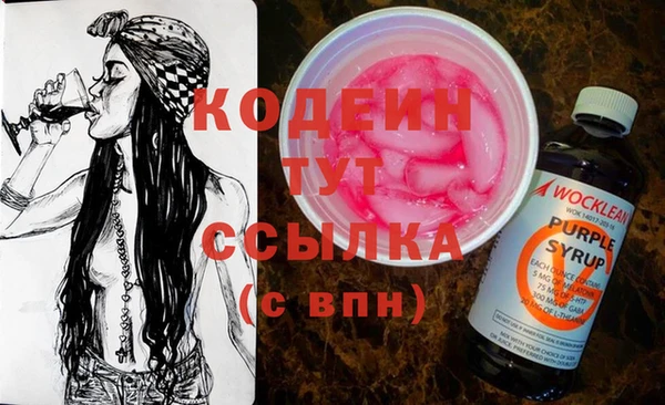 прущие грибы Няндома