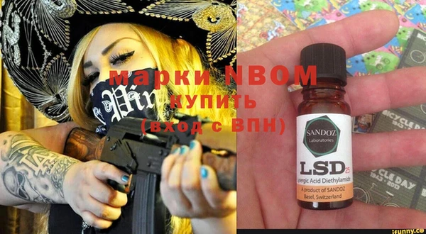 прущие грибы Няндома