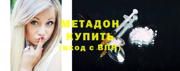 прущие грибы Няндома