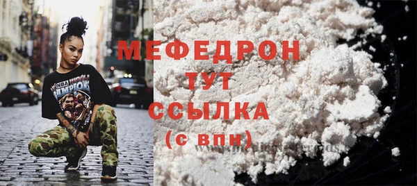 соль ск Ельня