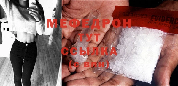 прущие грибы Няндома