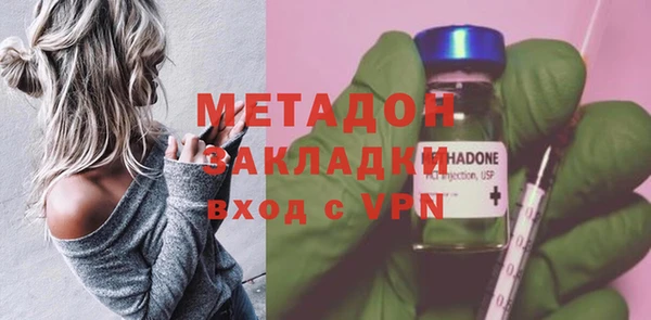 прущие грибы Няндома