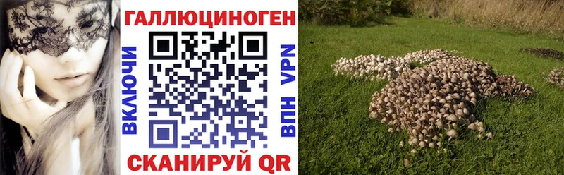 Псилоцибиновые грибы GOLDEN TEACHER  Котово 