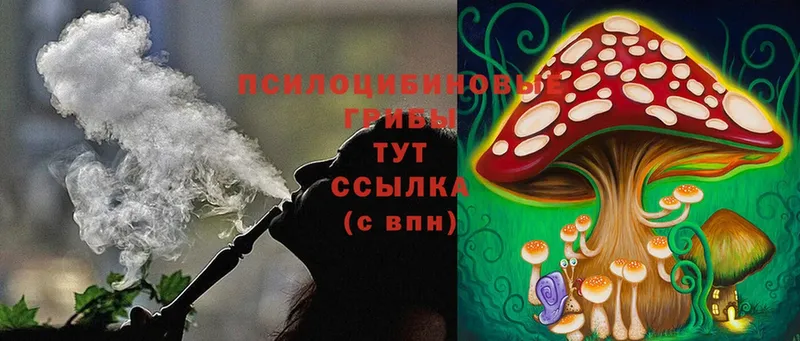 Псилоцибиновые грибы Magic Shrooms  где можно купить   мега сайт  Котово 